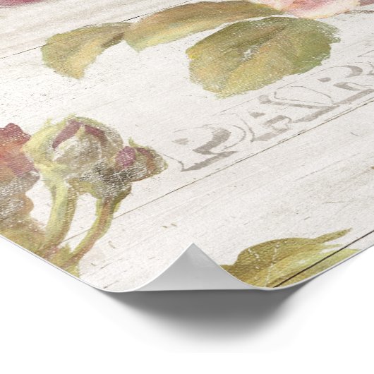 Poster Roses français Pastel Pink (Coin)