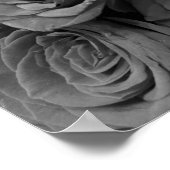 Poster Roses gris, gris floral photo l (Coin)
