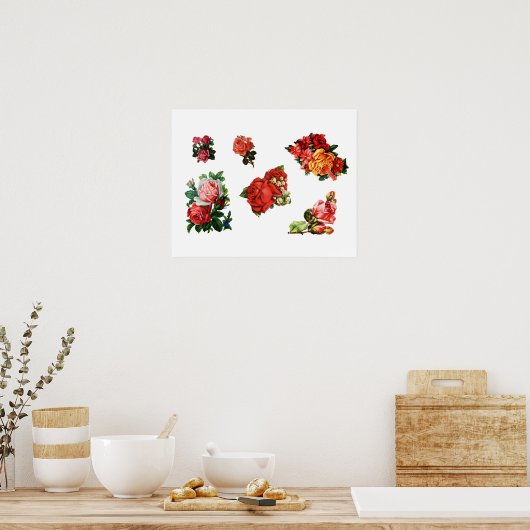 Poster Roses in Bloom (Cuisine)