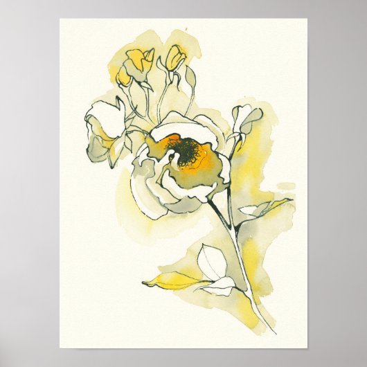 Poster Roses jaune et blanc (Devant)
