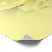 Poster Roses jaunes (Coin)