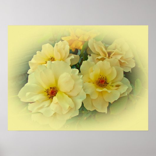 Poster Roses jaunes (Devant)