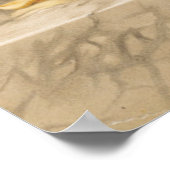 Poster Roses jaunes (Coin)