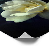 Poster Roses jaunes florissantes (Coin)