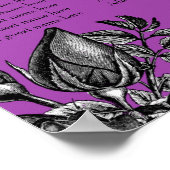 Poster Roses noir et blanc Mariage électrique violet (Coin)