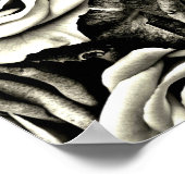 Poster Roses noires et blanches (Coin)