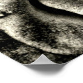 Poster Roses noires et blanches classiques (Coin)