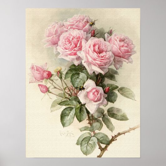Poster Roses romantiques victoriens vintages (Devant)