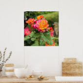 Poster Roses Rose Jaune Imprimer (Cuisine)