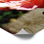 Poster Roses roses (Coin)