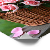 Poster roses roses belles (Coin)
