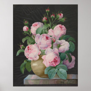 Poster Roses roses dans un vase - Pierre Joseph Redouté