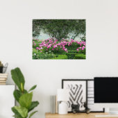 Poster Roses roses élégants (Bureau à domicile)