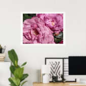 Poster Roses roses profond (Bureau à domicile)