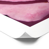 Poster Roses roses profondes (Coin)