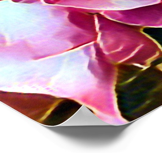 POSTER ROSES ROSES ROSES (Coin)