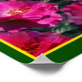 Poster Roses roses roses Florales Art Abstrait (Coin)