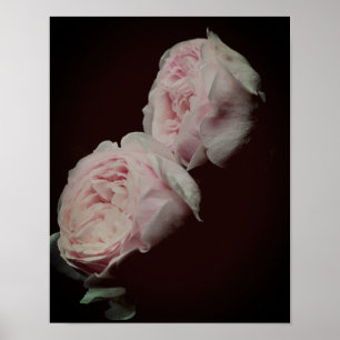 Poster Roses roses roses paires