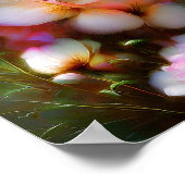 Poster Roses roses vibrantes (Coin)