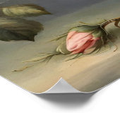 Poster Roses roses victoriennes (Coin)