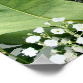 Poster Roses rouges (Coin)