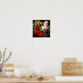 Poster Roses Rouges Et Blanches Trempées (Cuisine)