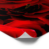Poster Roses rouges foncées Pour vous (Coin)