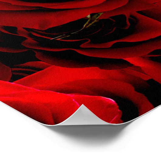 Poster Roses rouges foncées Pour vous (Coin)