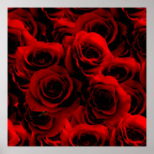 Poster Roses rouges foncées Pour vous