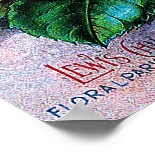 Poster Roses rouges vintages (Coin)