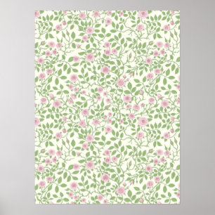 Poster Roses sauvages