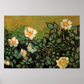 Poster Roses sauvages (F597) Van Gogh Fine Art