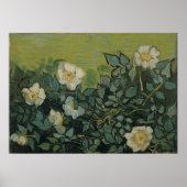 Poster Roses sauvages par Vincent van Gogh (Devant)