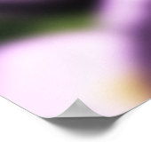 Poster Roses sur Raindrops Imprimer (Coin)