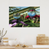 Poster Roses sur Raindrops Imprimer (Cuisine)