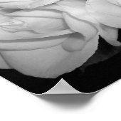 Poster Roses sur toile (Coin)