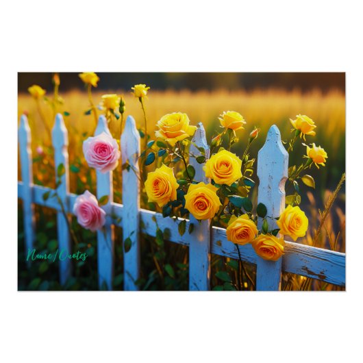 Poster Roses sur une clôture blanche (Devant)