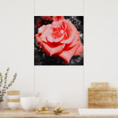Poster Roses vintages (Cuisine)