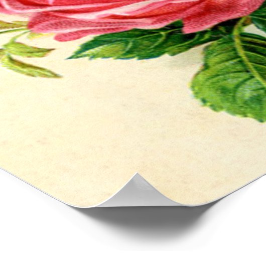 Poster roses vintages (Coin)