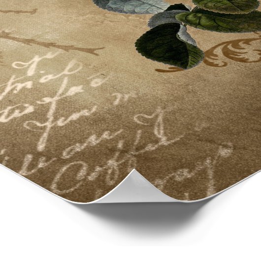 Poster Roses vintages avec script. (Coin)