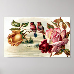Poster Roses Vintages d'oiseaux du portefeuille