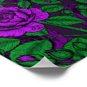 Poster Roses violets (Coin)