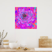 Poster Rosette de Sedum Succulent Pourpre et Magenta (Cuisine)