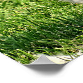 Poster Rosie dans la brise (Coin)