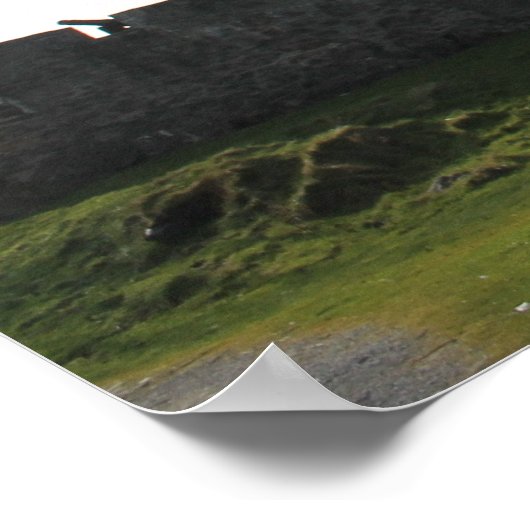 Poster Ross Castle, Killarney, Irlande (Coin)