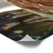 Poster Rosters vintages (Coin)