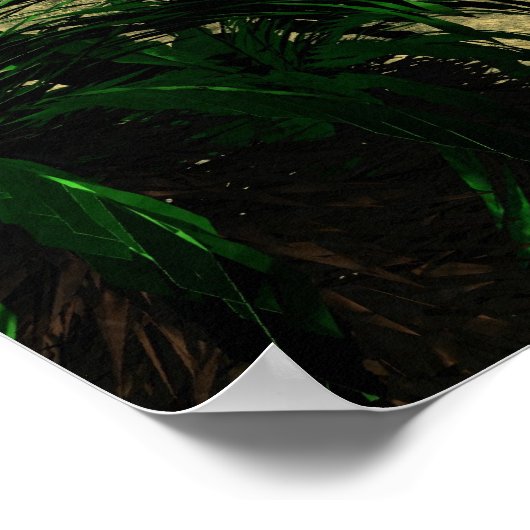 Poster Roswell UFO Crash (Coin)