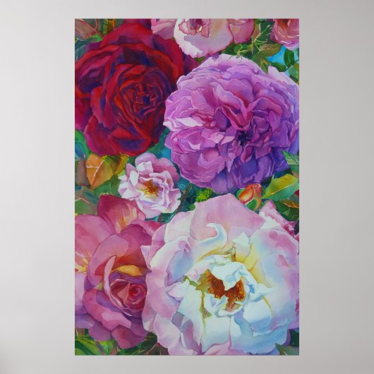 Poster Rosy (Devant)