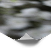 Poster Rote Rose - Druck (Coin)