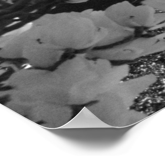 Poster Rotonde et fleurs (Coin)